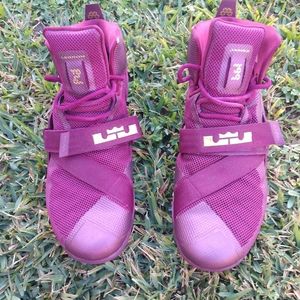 Nike zoom LeBron James